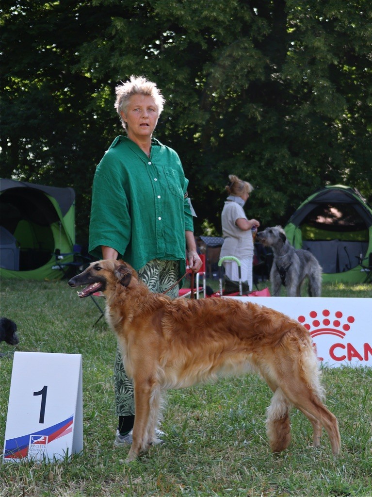 cavallierik Lady in red