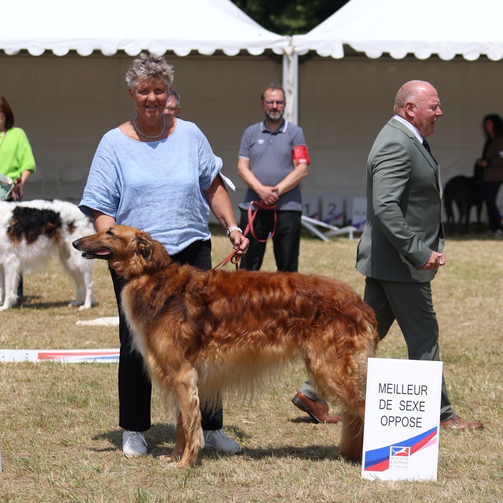 d'Ellendil - Rackham meilleur mâle championnat de France 2025 