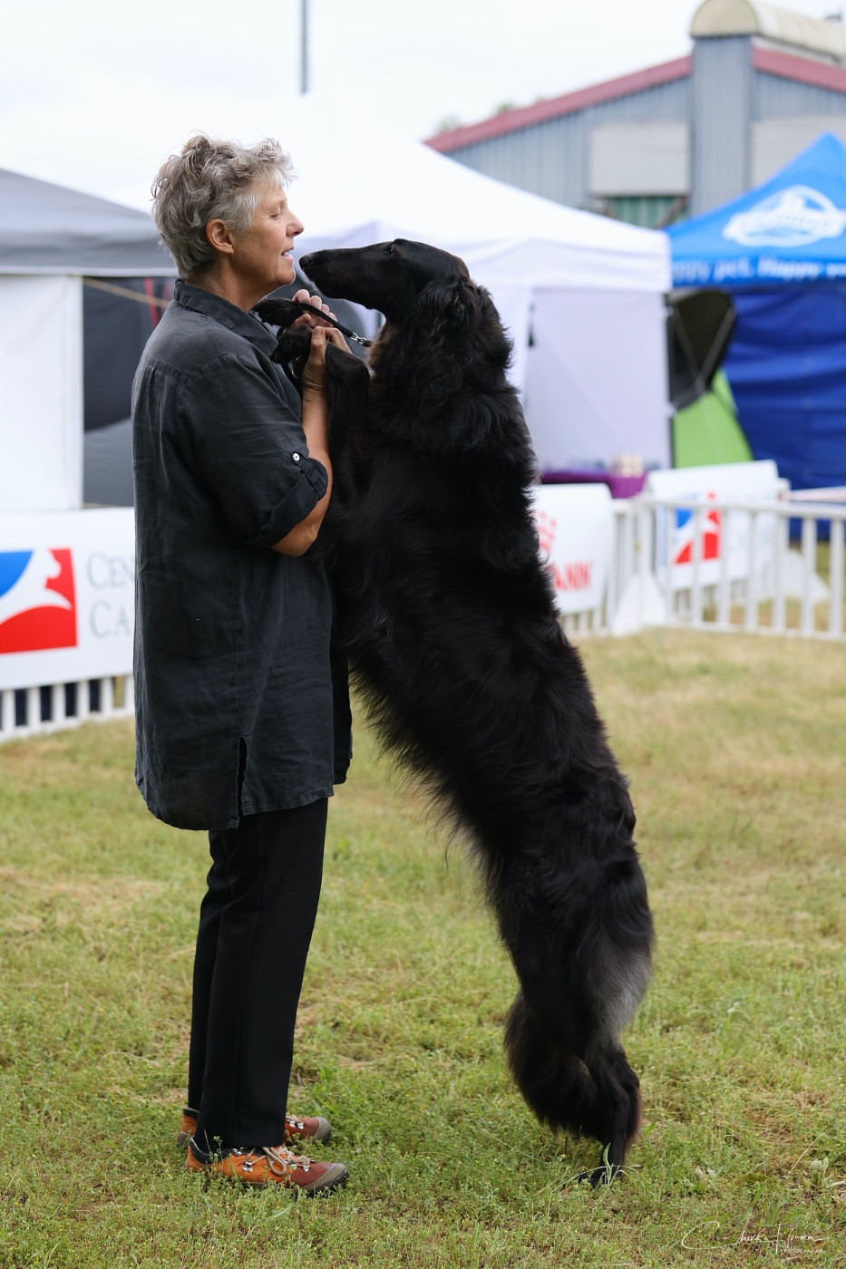 d'Ellendil - prochaine portée