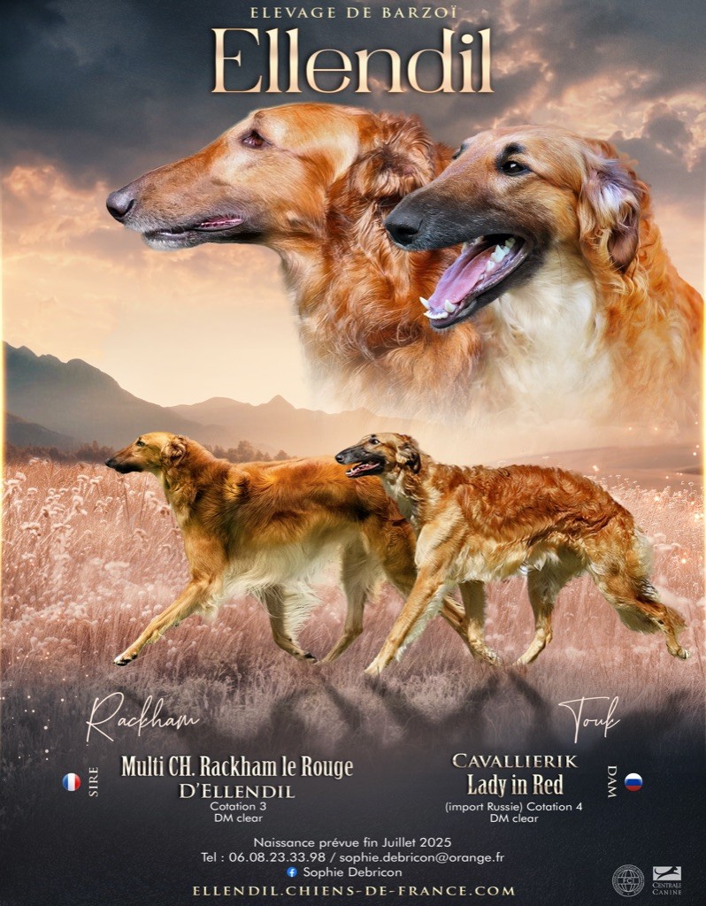 d'Ellendil - Des rouges attendus fin juillet 25 ...